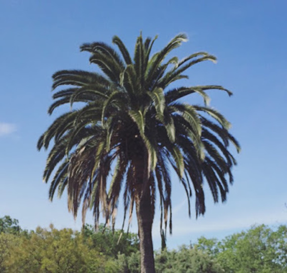 Meet your Posher, Krizzia - Picture 1 of 1